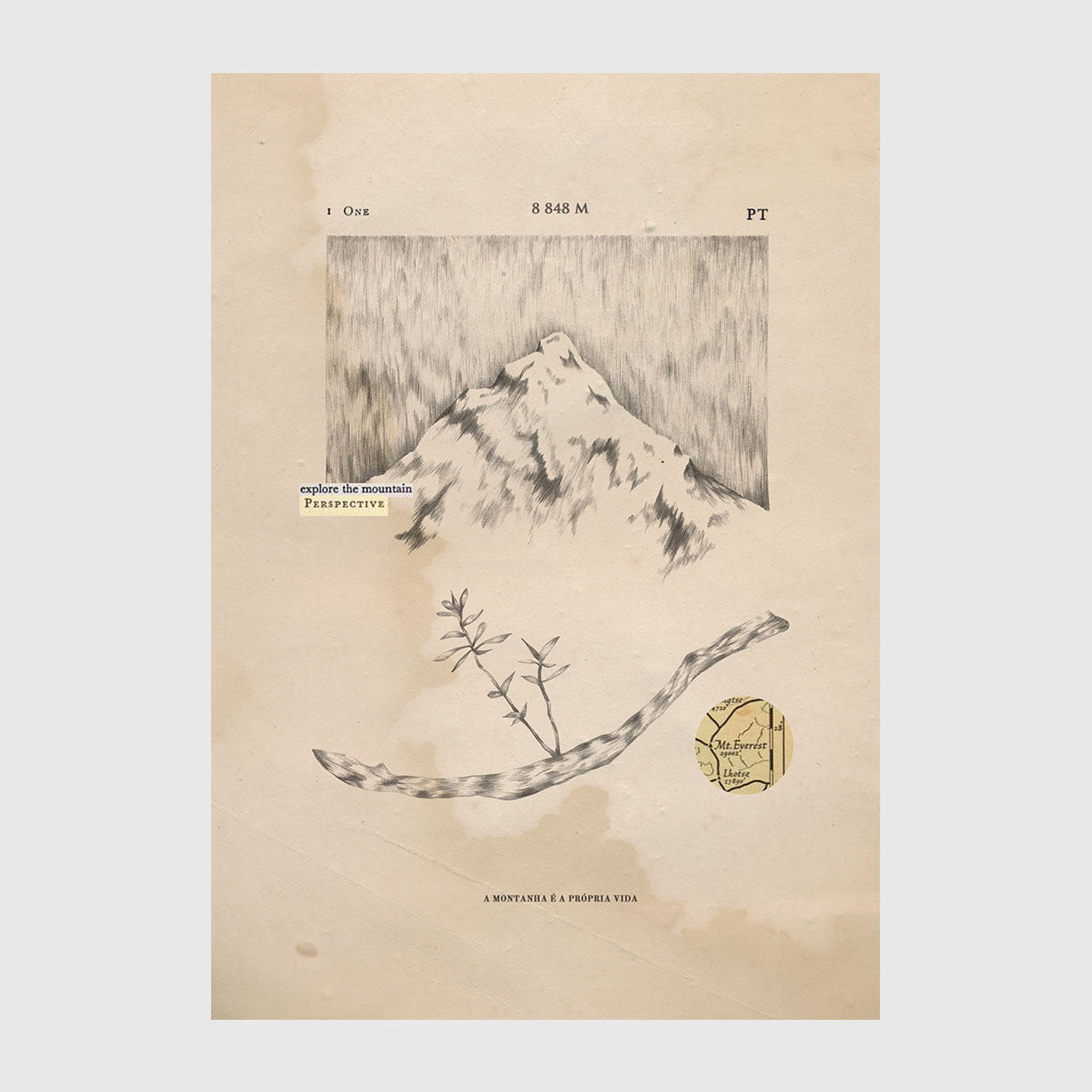 CSalgueiro_A_Montanha_e_a_propria_vida-cláudia-salgueiro A_Montanha_e_a_propria_vida-cláudia-salgueiro