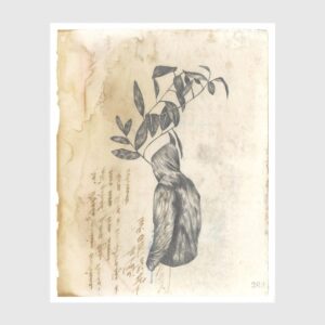 Vagar-IV-Cláudia-Salgueiro