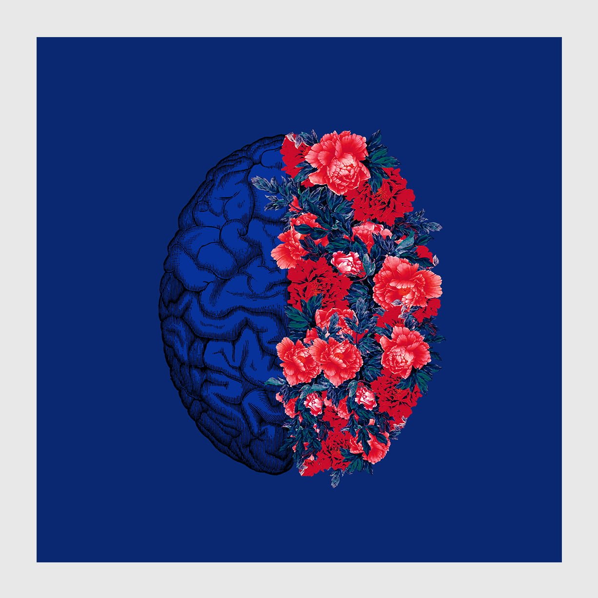 FOmE-Vol II Fome vol I