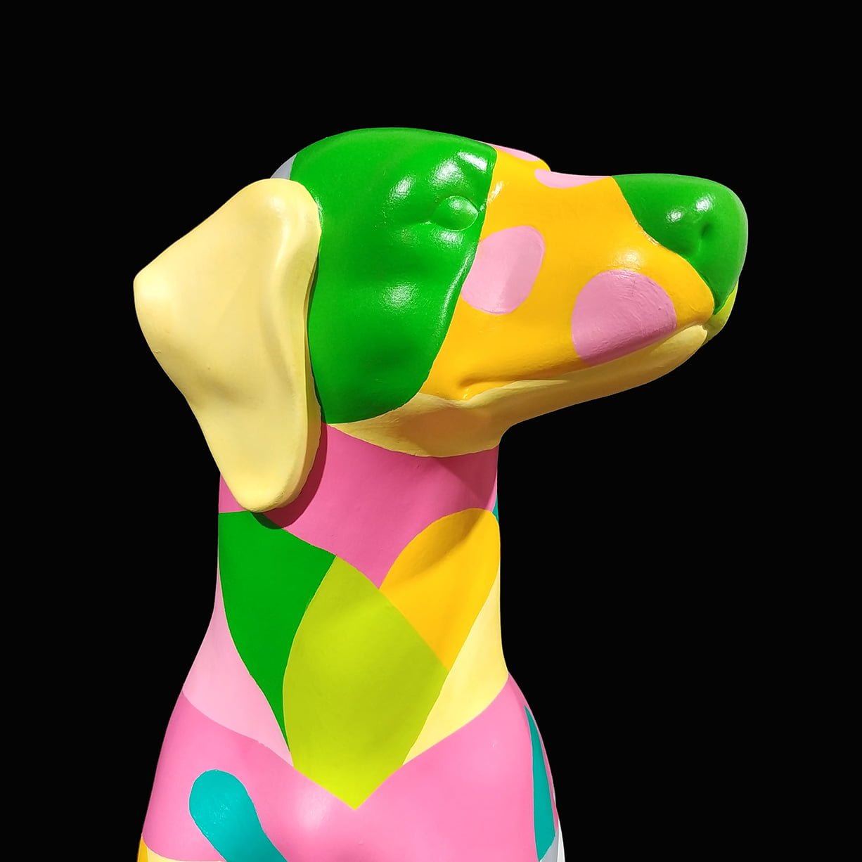 Rafeiro-mynamisnotSEM-5 Rafeiro-mynamisnotSEM