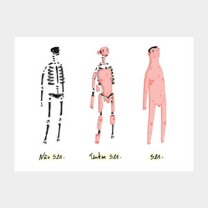 ilustração evolução do homem