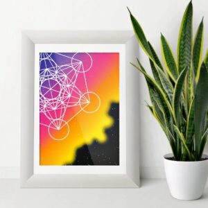 universe shapes plant