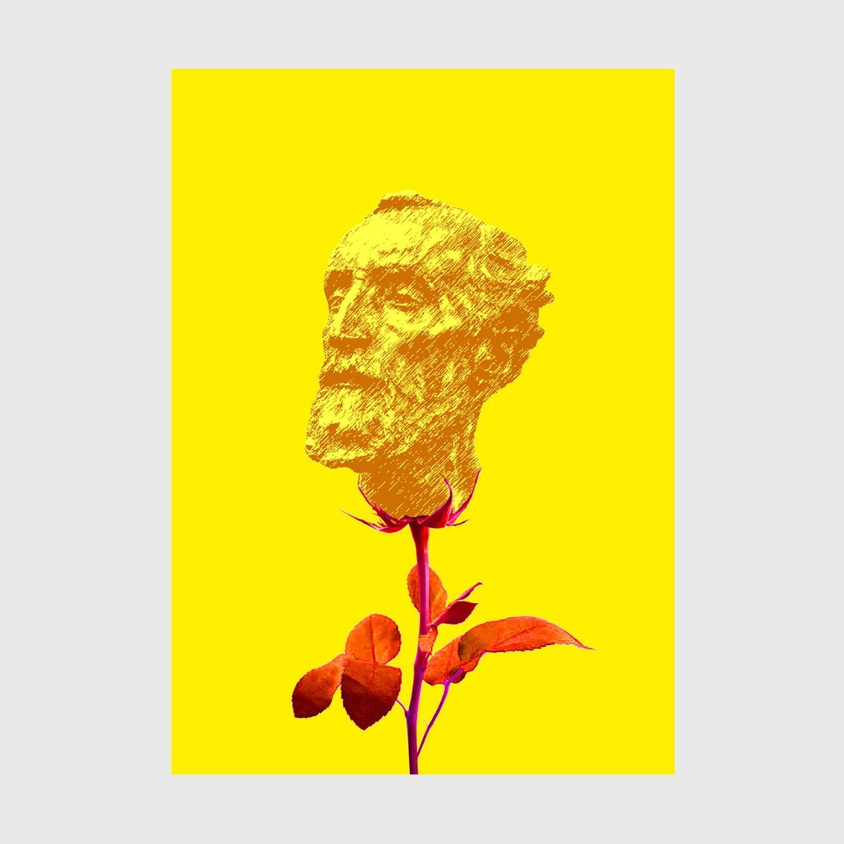 fome-vol-2-apaixonarte-1 flores rosto homem