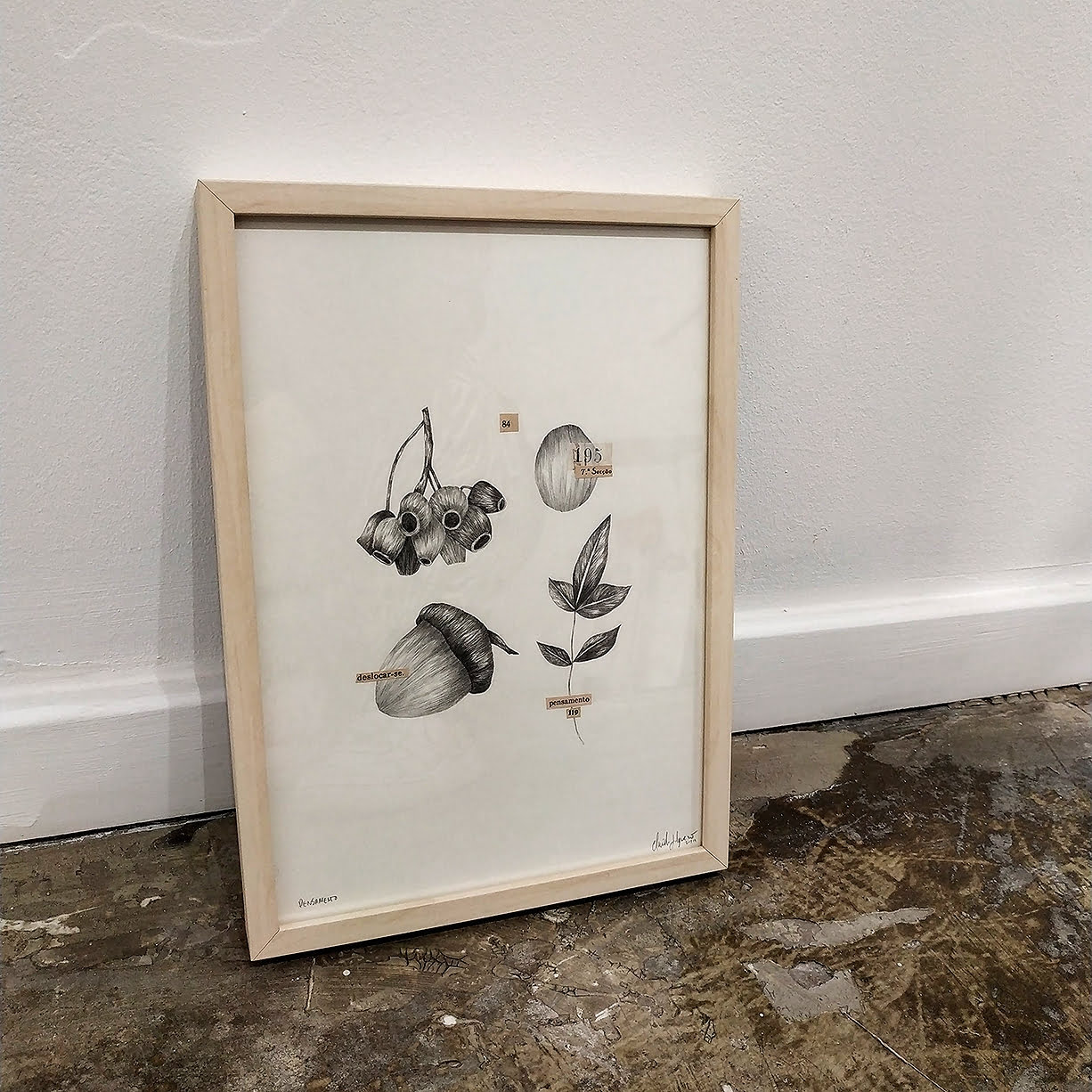 pensamento-claudia-salgueiro-apaixonarte-1 bolotas plantas