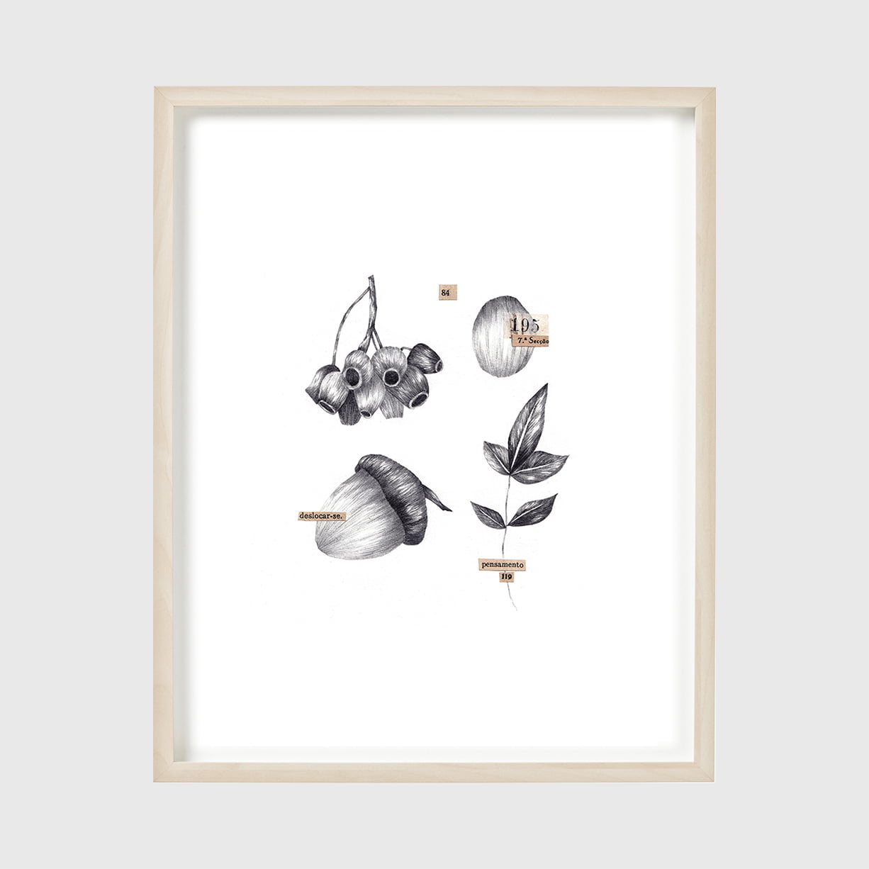 pensamento-claudia-salgueiro-apaixonarte bolotas plantas