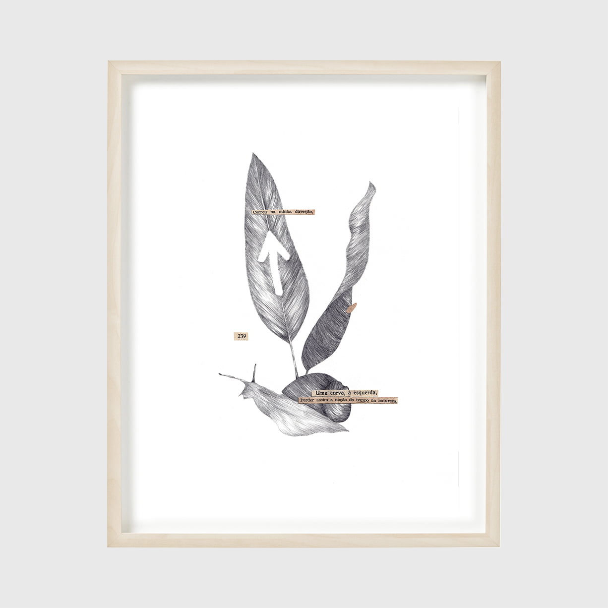 perder-a-nocao-do-tempo-claudia-salgueiro-apaixonarte snail arrow leaf