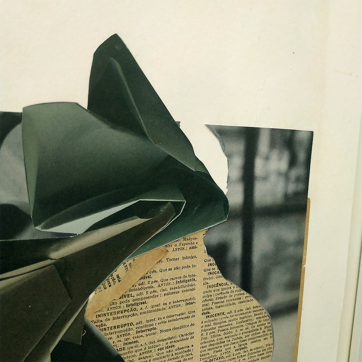 interrupto-nina-fraser-apaixonarte-6