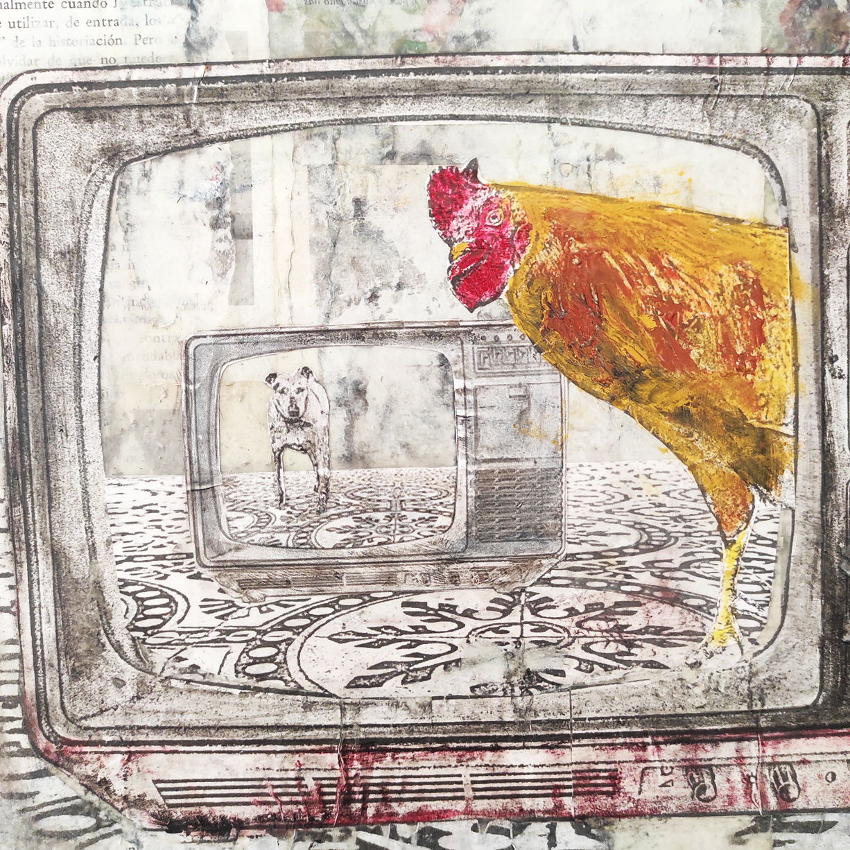 a-televisão_magriço-2