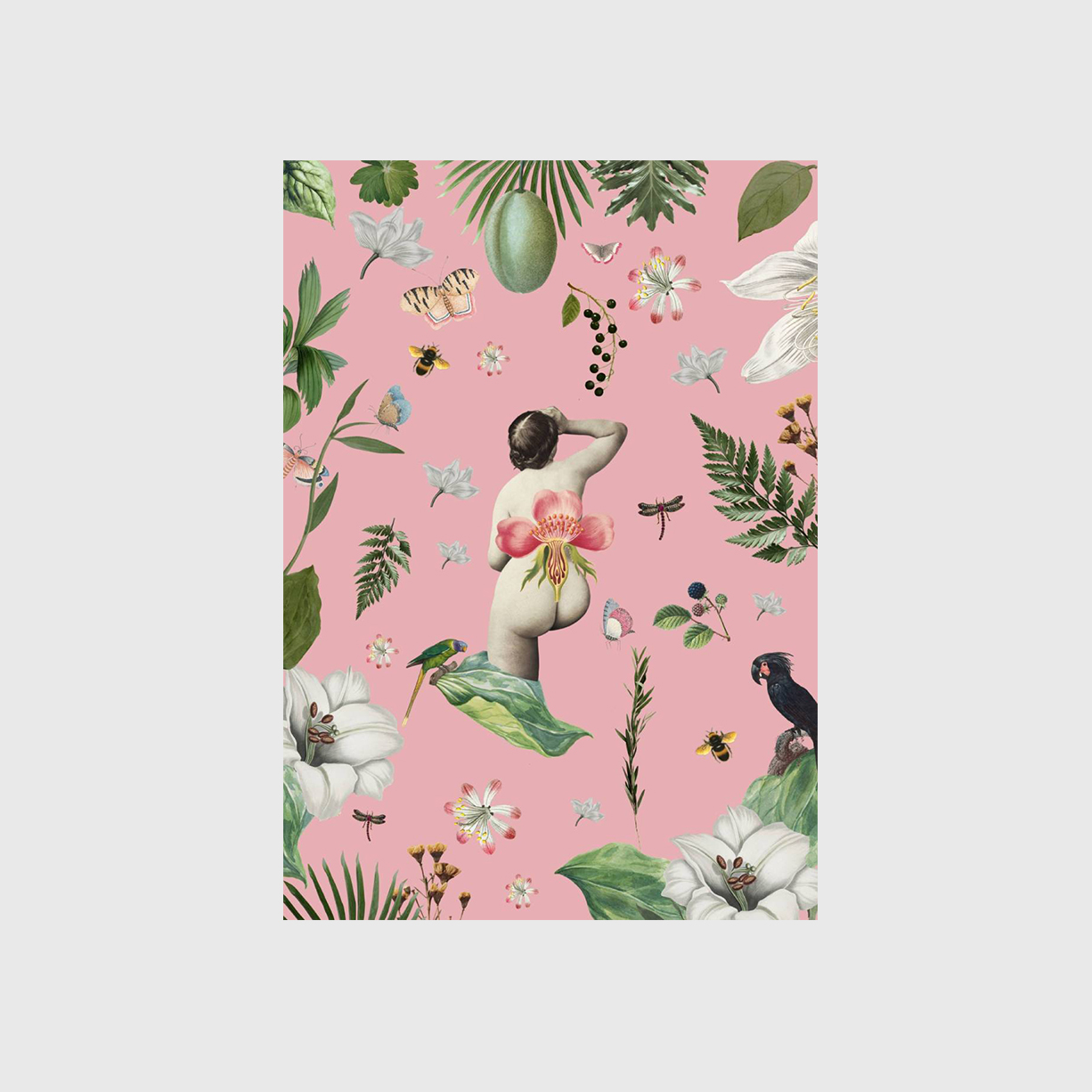 Maria-Melancolia-11-jpg