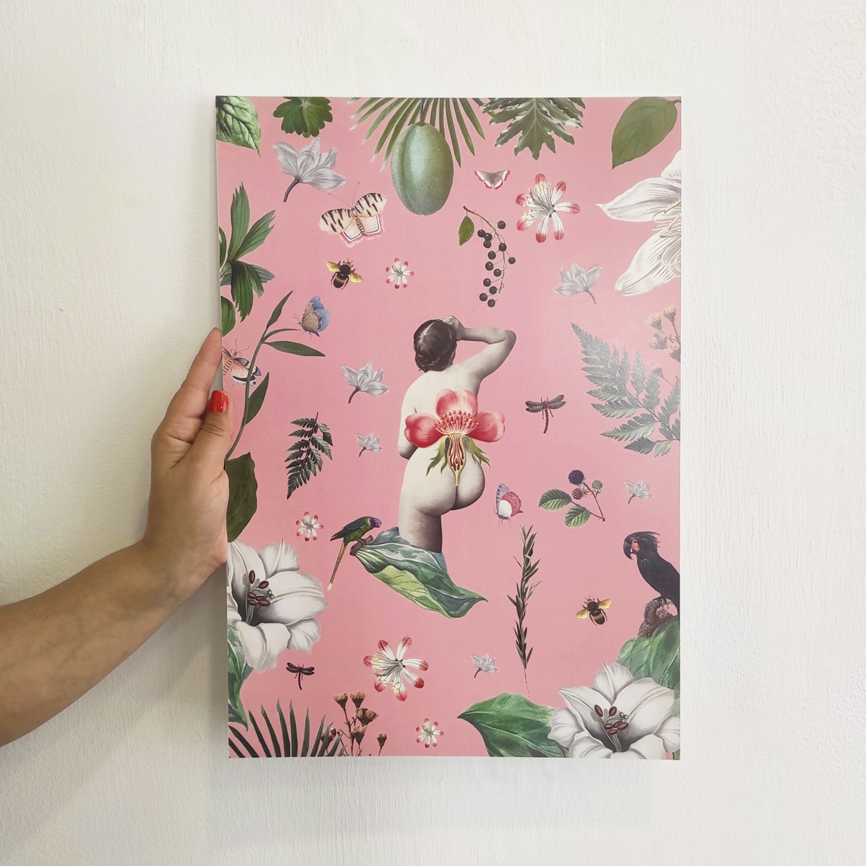 Maria-Melancolia-11A