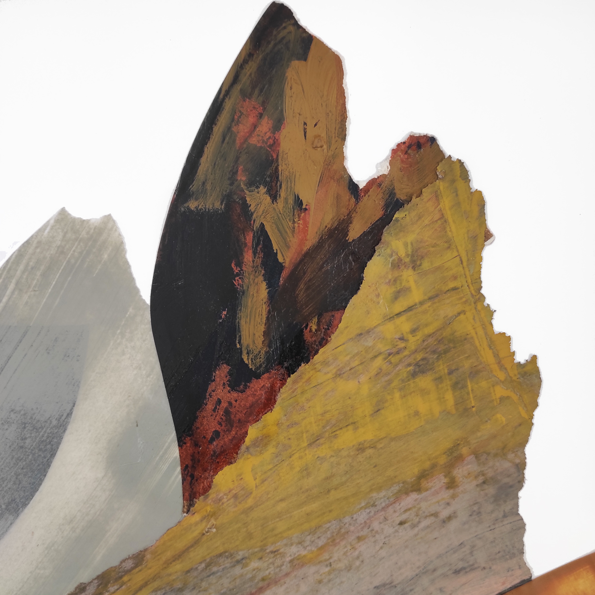 Colagem-2--3-João-Freitas