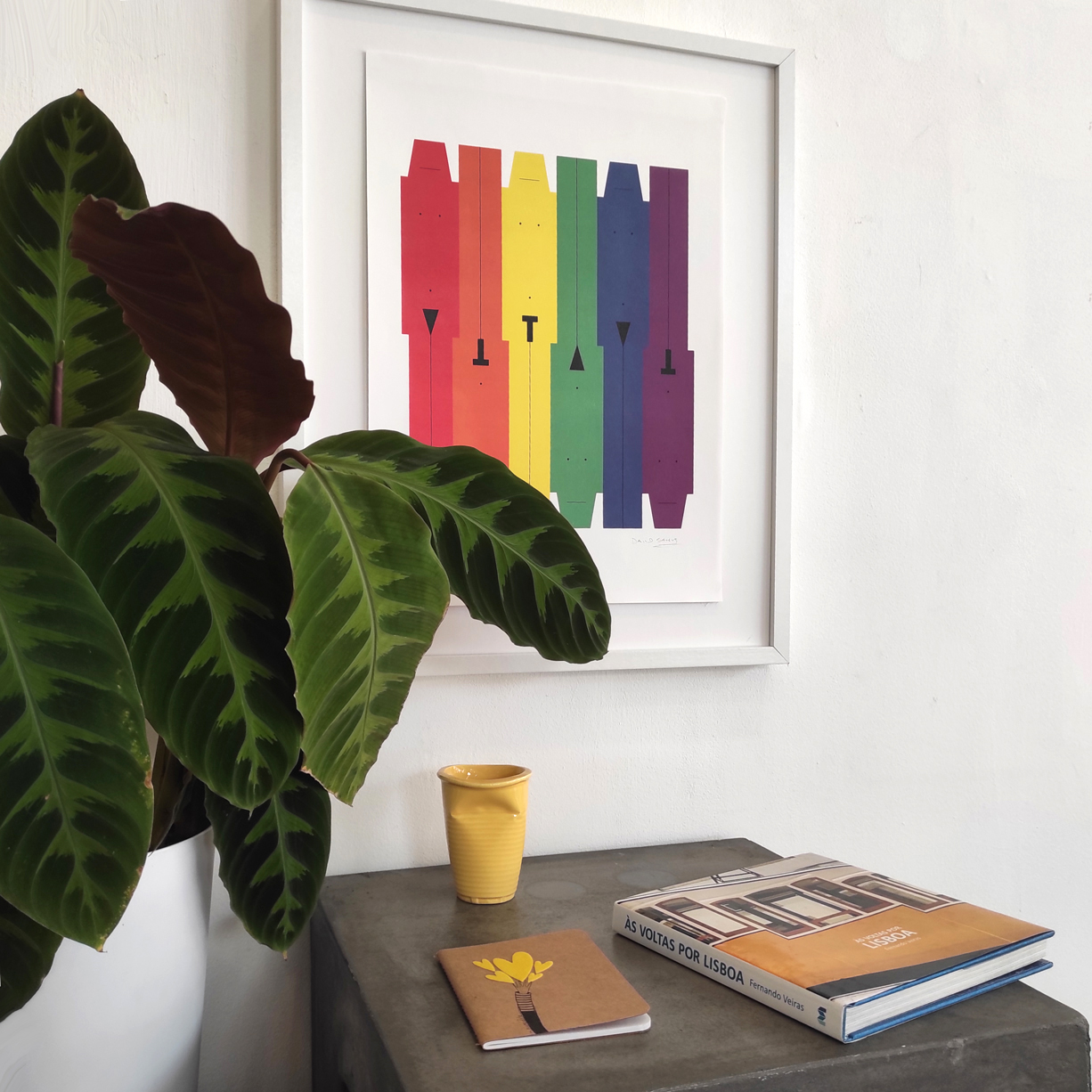 RAINBOW-3-David-Sereno