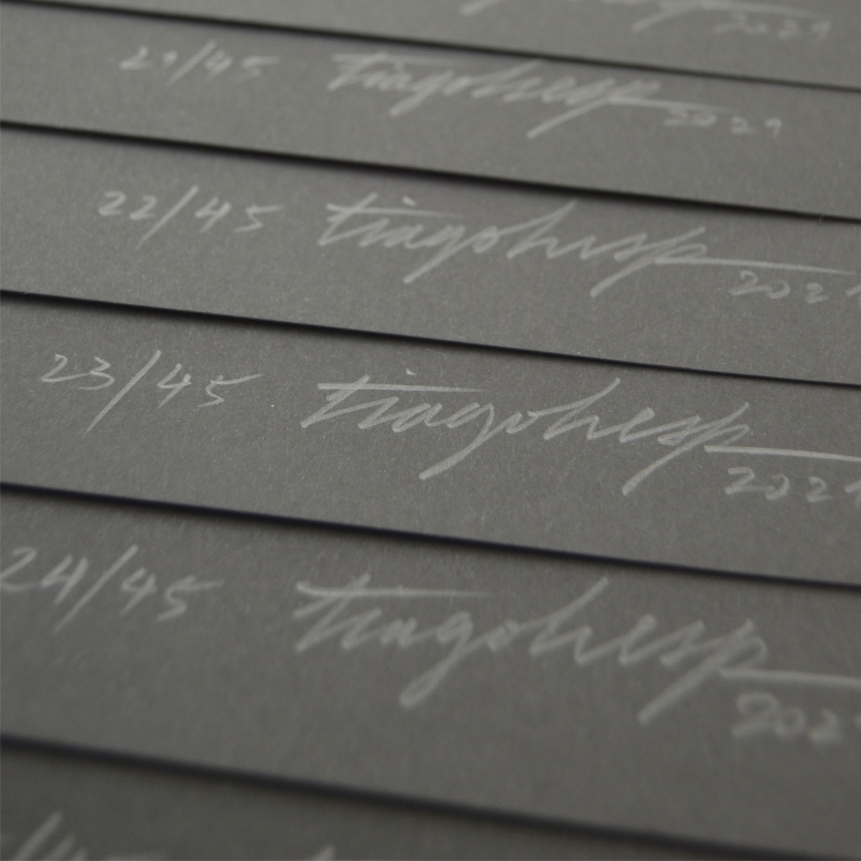 Down-The-Rabbit-Hole-Tiago Hesp