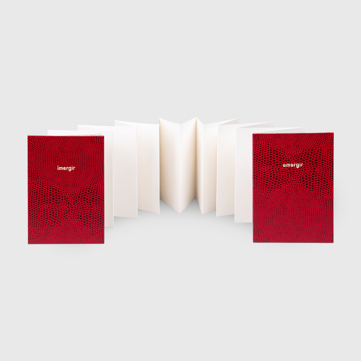 Apaixonarte-Inusitado-Emergir01jpg