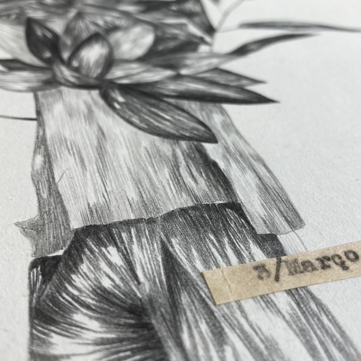 Apaixonarte_Marco_CSalgueiro-03