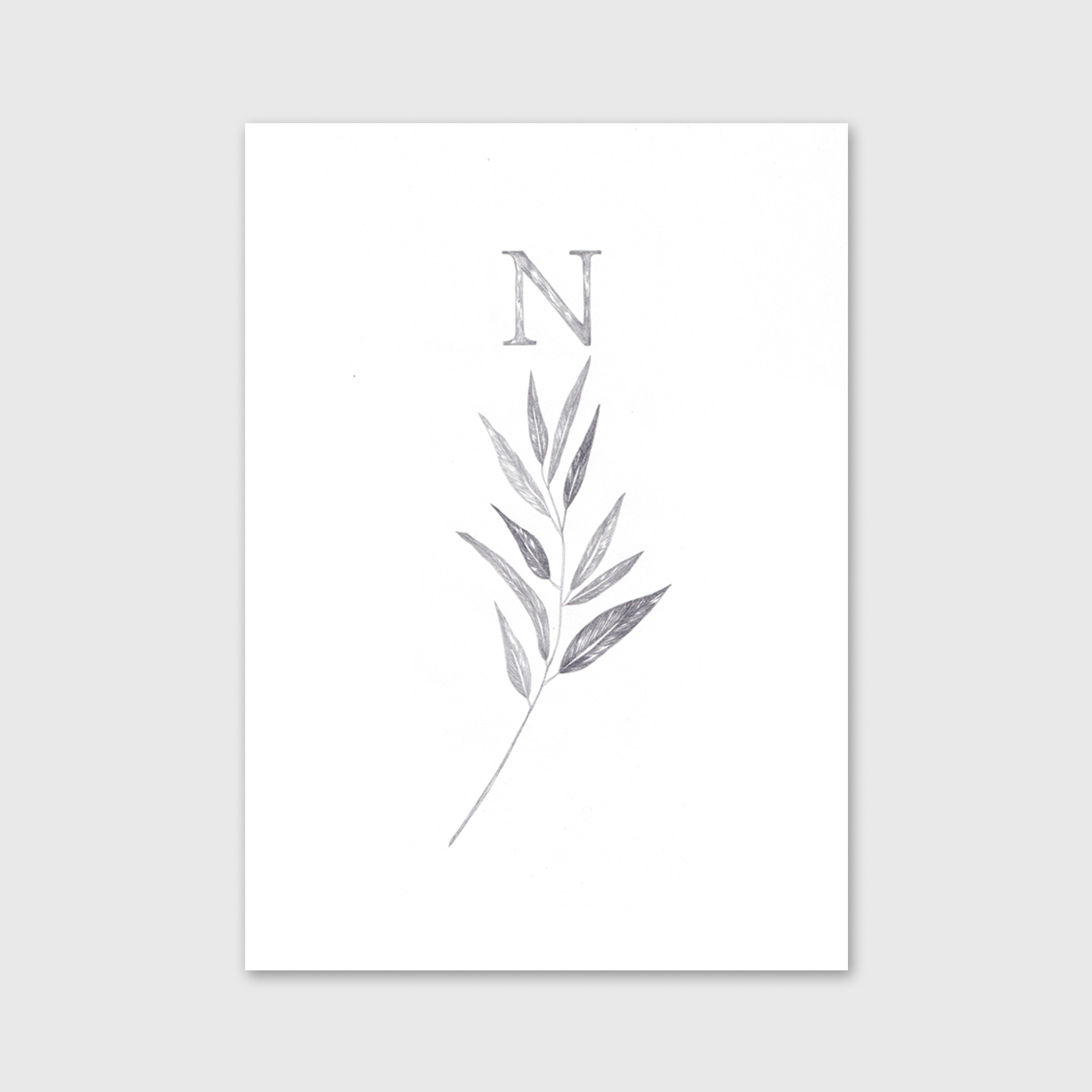 apaixonarte_Norte_CSalgueiro1