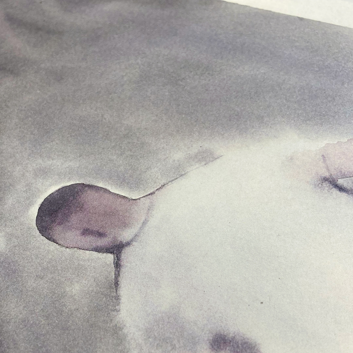 apaixonarte-dylan-star-sittingcliff01