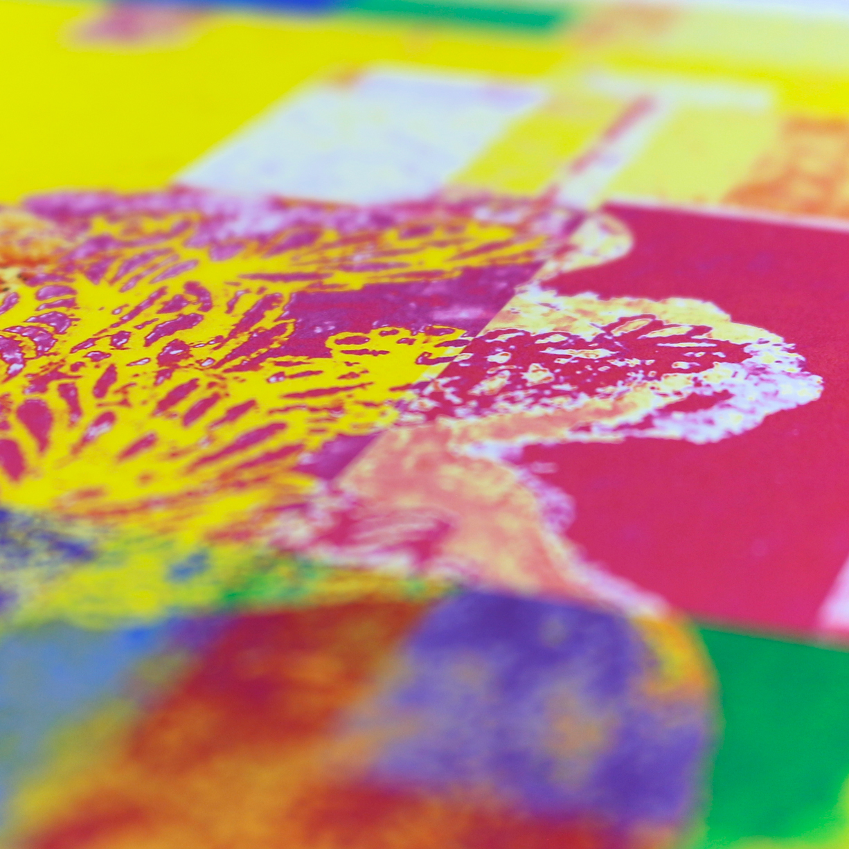 apaixonarte-joana-r-sa-sem-titulo-3-02