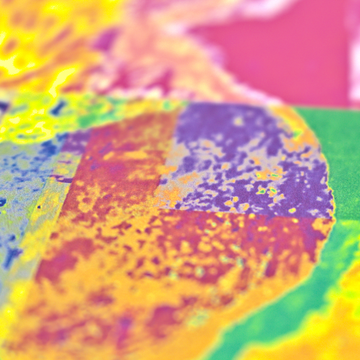 apaixonarte-joana-r-sa-sem-titulo-3-03