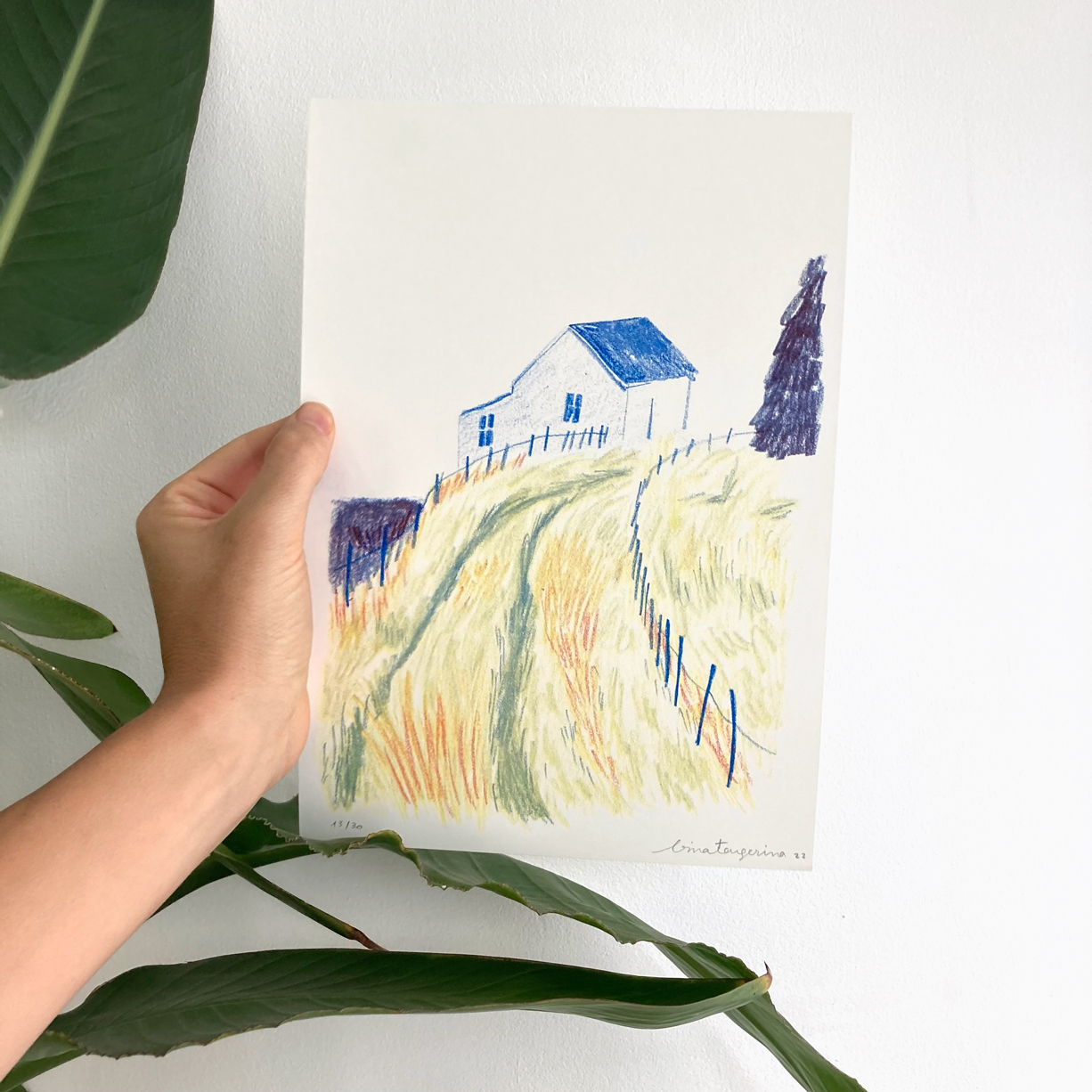 Apaixonarte-bina-casa-azul2