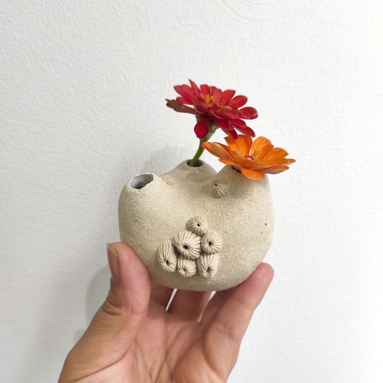 z-1-yara-fukimoto-apaixonarte02