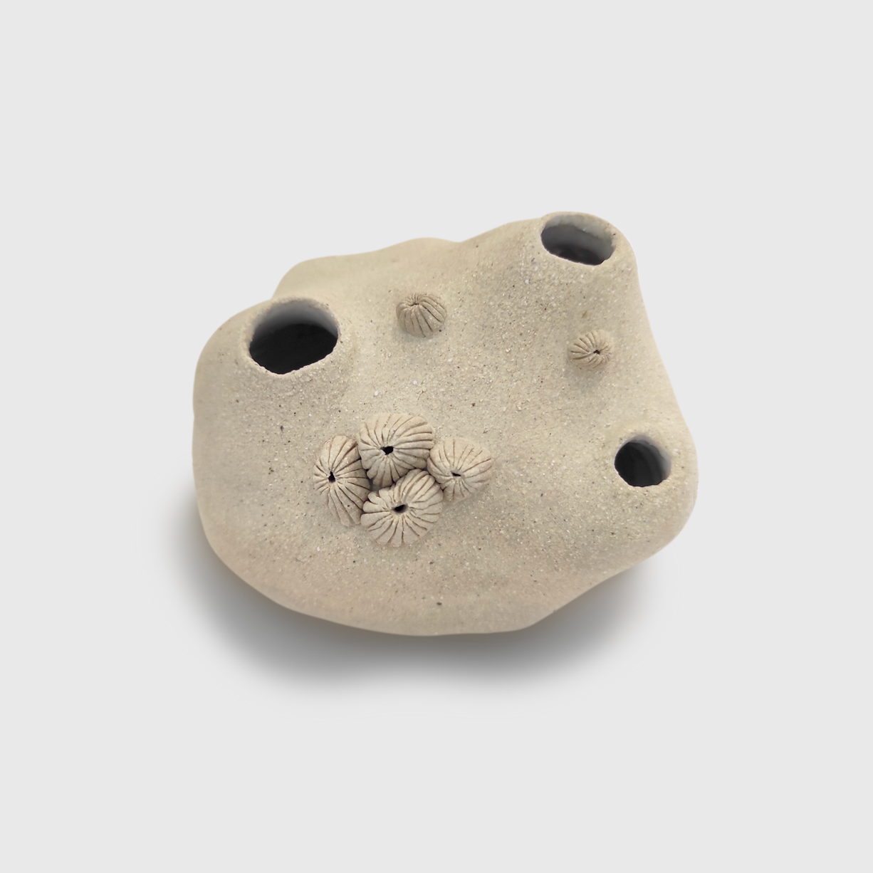 z-2-yara-fukimoto-apaixonarte01