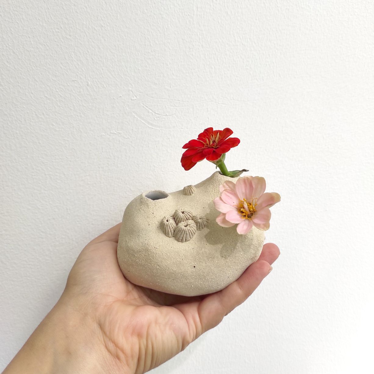 z-2-yara-fukimoto-apaixonarte02