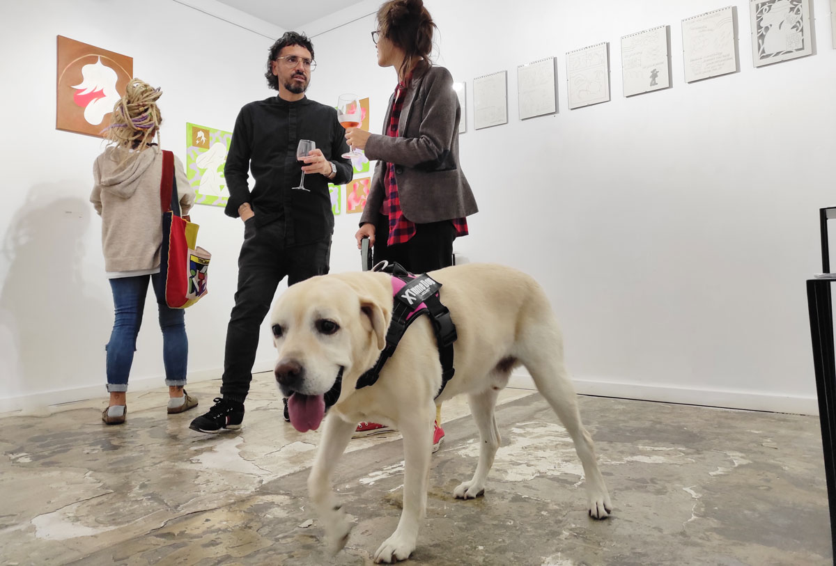 opening amargo's exhibition at Apaixonarte gallery