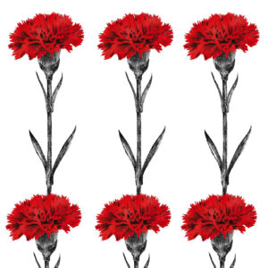 Ilustration by Cátia Freitas