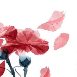 Ilustration by Cátia Freitas