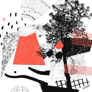 Ilustration by Barbara R.