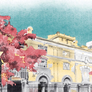 Ilustration by Cátia Freitas