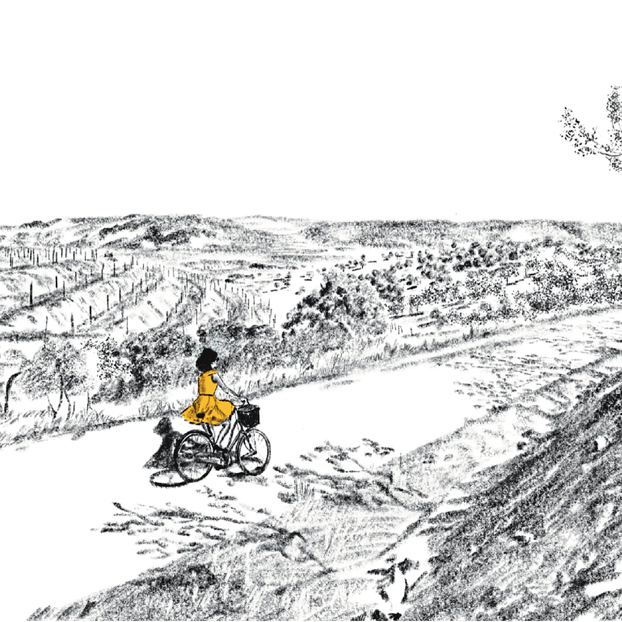 bicla-catia-freitas-apaixonarte02 Ilustration by Cátia Freitas