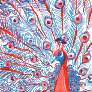 Ilustração por Cátia Freitas