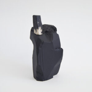 Sculpture by Tiago Hesp