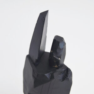 Sculpture by Tiago Hesp