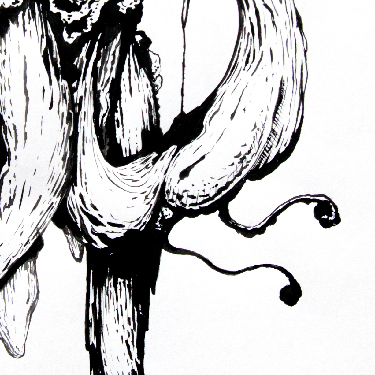 untitled1-tiago-hesp-apaixonarte-03 Drawing by Tiago Hesp