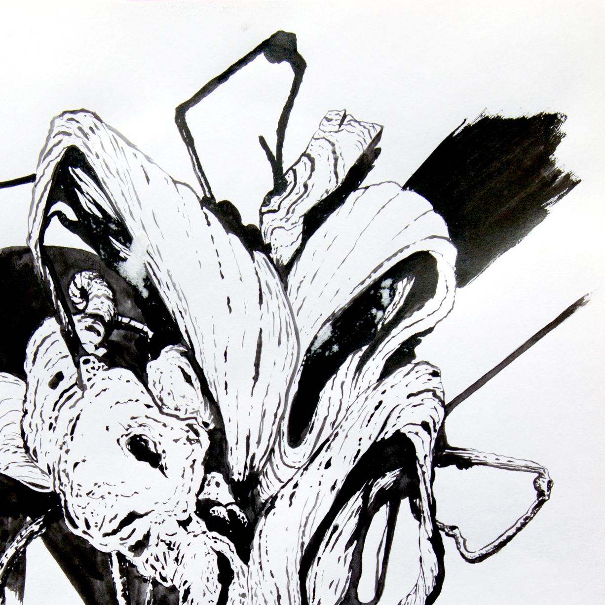 untitled5-tiago-hesp-apaixonarte-02 Drawing by Tiago Hesp