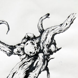 Drawing by Tiago Hesp