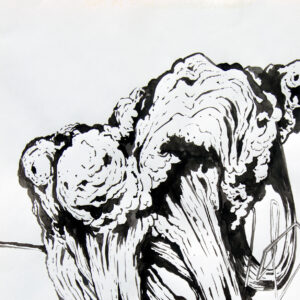 Drawing by Tiago Hesp