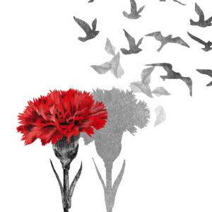 Catia Freitas illustration print