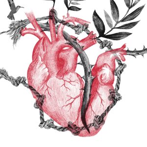 Herat illustration detail by Catia Freitas