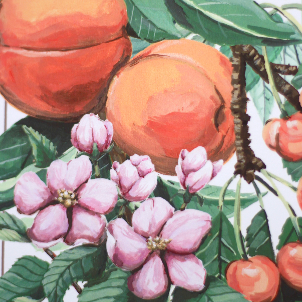 roasceae-ibuko-apaixonarte-04