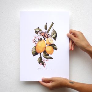 painting of a branch with lemons by sara No, Ibuki
