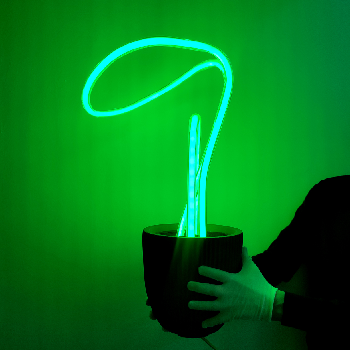 Ian-Chão-Apaixonarte-03