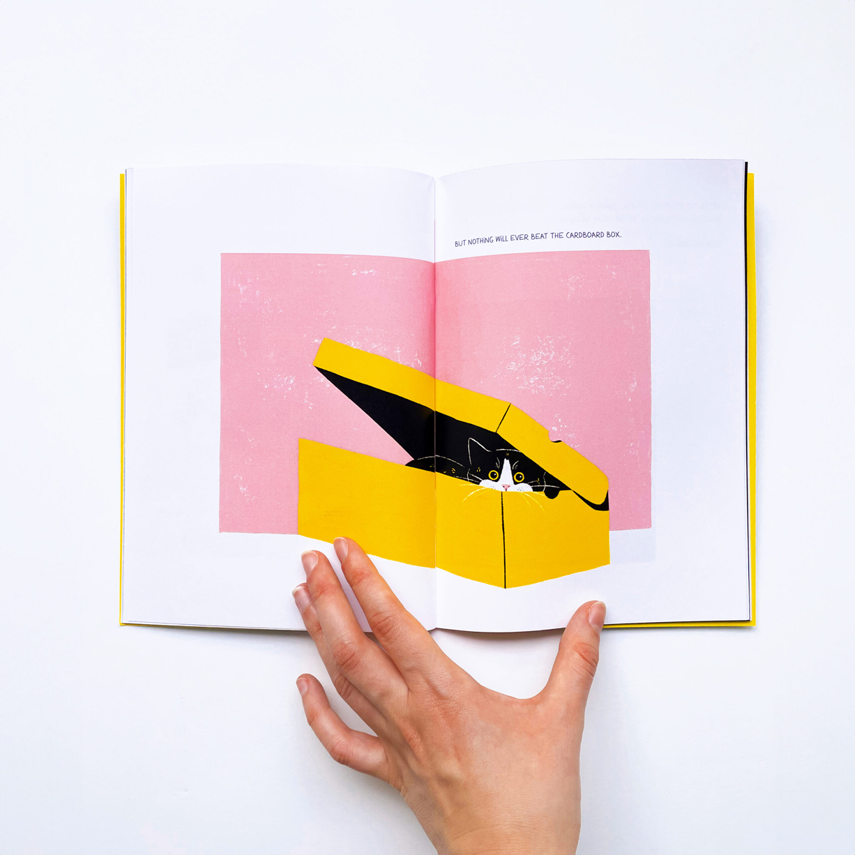 Livro-life-with-a-cat-02 Sara Felgueiras's cat illustration