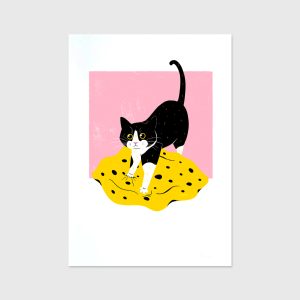 Sara Felgueiras's cat illustration