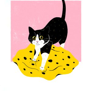 Sara Felgueiras's cat illustration