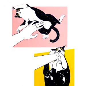 Sara Felgueiras's cat illustration