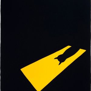 Sara Felgueiras's cat illustration